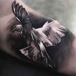 "Amazing Bird bicep tattoo"